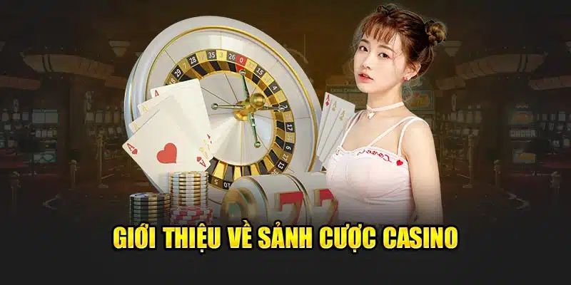 Đôi nét về casino 77BET